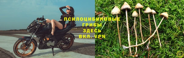 трава Баксан